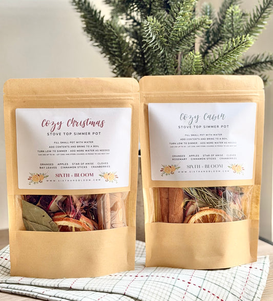 Cozy Cabin - Holiday Stovetop Simmer Pot Kit